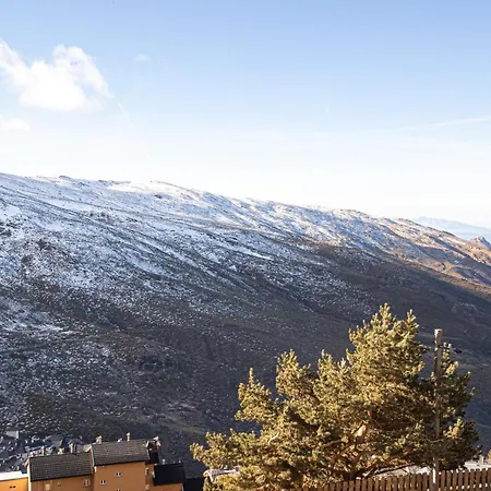 Blossom * Sierra Nevada