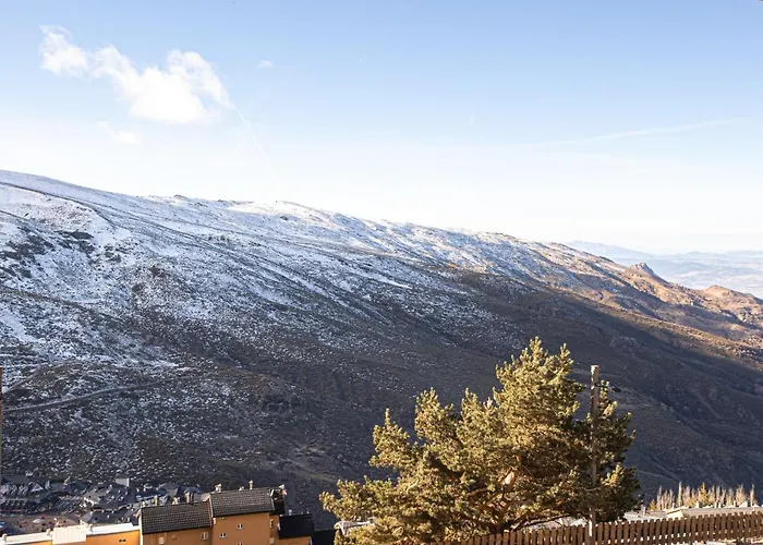 Blossom * 塞拉内华达